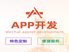 <b>APP开发</b>